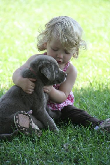 child cuddling a pup from silveroselab 
